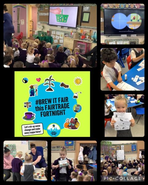 1000049493 1000049493