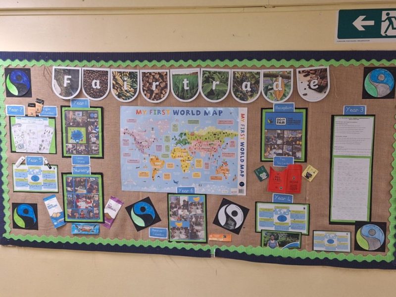 1000064981 1000064981